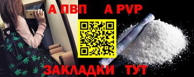jwh Кингисепп