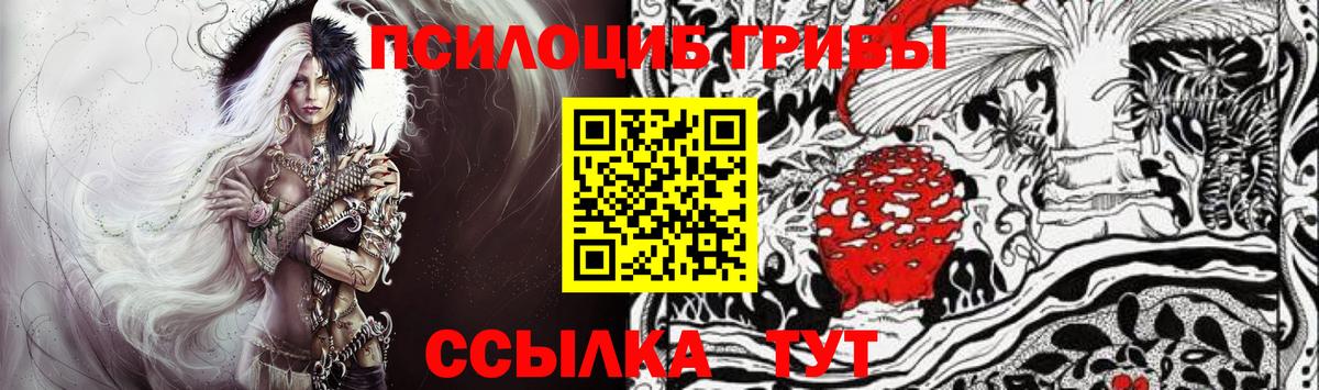 Морозовск  Галлюциногенные грибы мухоморы  Вход с VPN 